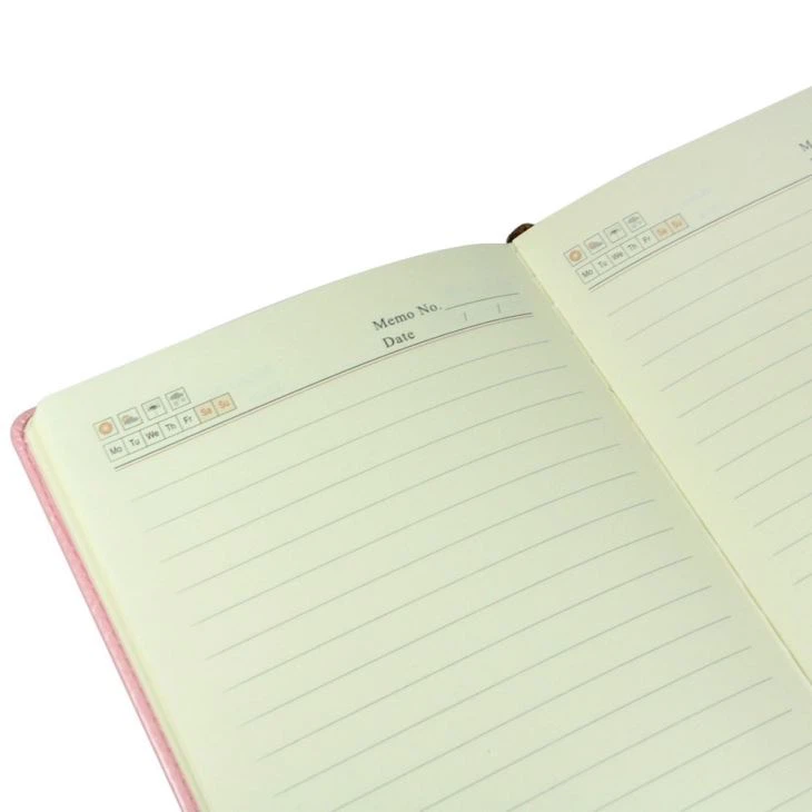 A Pink Leather Journal